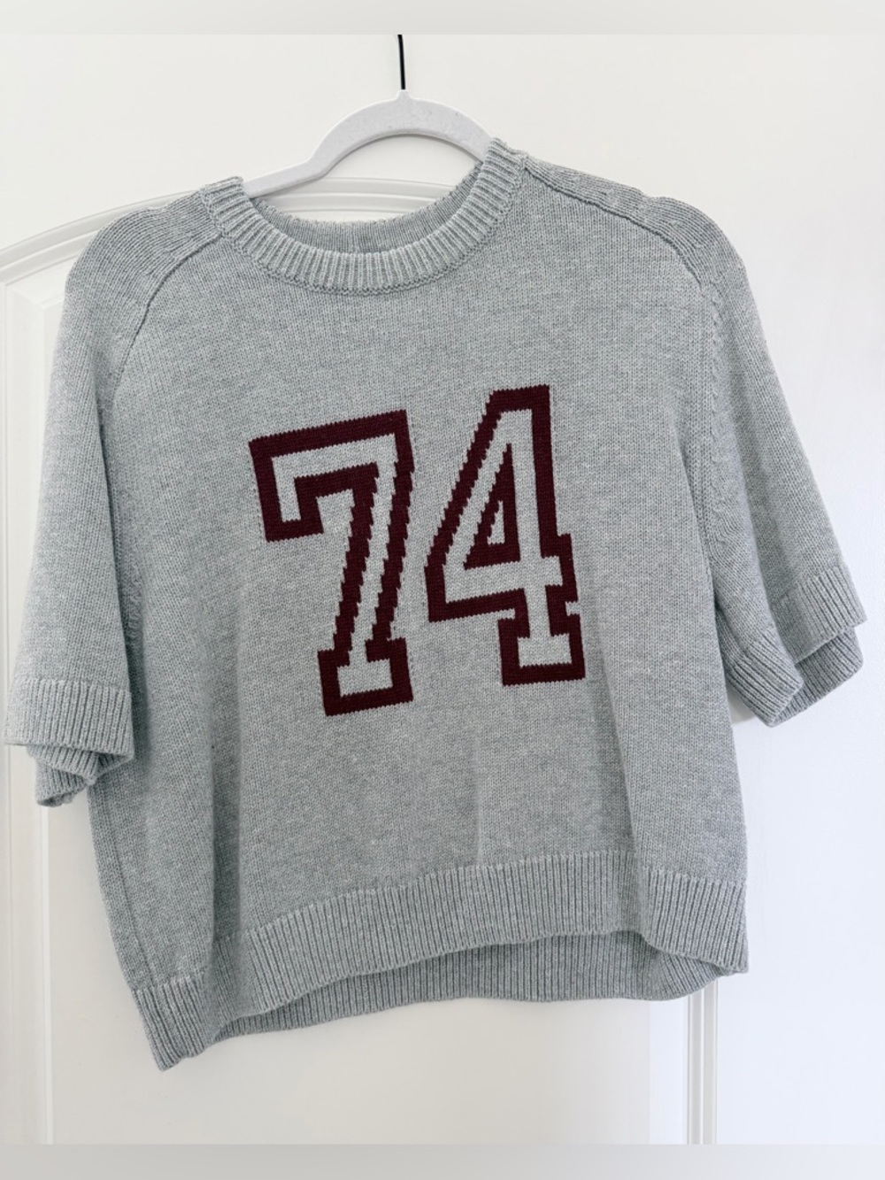 NWT Abercrombie & Fitch Light Gray Knit Short-Sleeve Sweater with Burgundy 74
